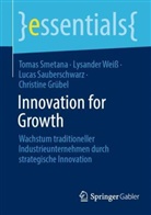 Christine Gr&uuml;bel, Luca Sauberschwarz, Lucas Sauberschwarz, Tomas Smetana, Lysander Wei&szlig; - Innovation for Growth