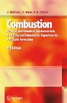 Robert W. Dibble, Ulrich Maas, J. Warnatz - Combustion