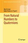 J&uuml;rg Kramer, Anna-Maria von Pippich, Anna-Maria von Pippich - From Natural Numbers to Quaternions