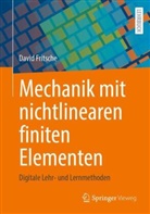 David Fritsche - Mechanik mit nichtlinearen finiten Elementen