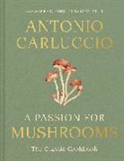 Antonio Carluccio, Carluccio Antonio - A Passion for Mushrooms