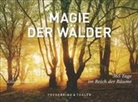 Kilian Sch&ouml;nberger, Kilian Sch&ouml;nberger - Magie der W&auml;lder, Tischaufsteller