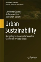 Lalit Kumar Dashora, Mohammed Firoz C, Rajib Shaw - Urban Sustainability