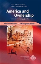 Gesa Mackenthun, Vasyltsov, Nikita Vasyltsov - America and Ownership