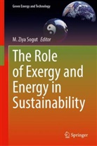 M. Ziya Sogut, M Ziya Sogut - The Role of Exergy and Energy in Sustainability