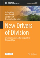 David Everatt, David Everatt et al, Keith Kintrea, Debolina Kundu, Ya Ping Wang - New Drivers of Division