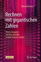Manuel Kauers - Rechnen mit gigantischen Zahlen