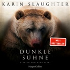 Karin Slaughter, Nina Petri - Dunkle S&uuml;hne (Audio book)