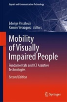 Edwige Pissaloux, Velazquez, Ramiro Velazquez - Mobility of Visually Impaired People