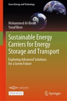 Mohammed Al-Breiki, Yusuf Bicer - Sustainable Energy Carriers for Energy Storage and Transport