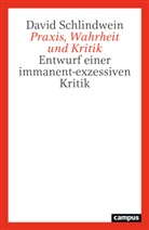 David Schlindwein - Praxis, Wahrheit und Kritik