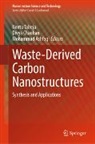 Mohammad Ashfaq, Divya Chauhan, Neetu Talreja, Mohammad Ashfaq, Divya Chauhan, Neetu Talreja - Waste-Derived Carbon Nanostructures