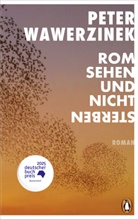 Peter Wawerzinek - Rom sehen und nicht sterben