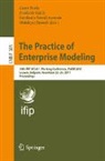 Frederik Gailly, Geert Poels, Estefania Serral Asensio, Monique Snoeck - The Practice of Enterprise Modeling