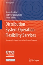 Avinash Aithal, Steve Atkins, Andrew Wainwright - Distribution System Operation: Flexibility Services