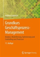 Andreas Gadatsch, Andreas (Dr.) Gadatsch - Grundkurs Gesch&auml;ftsprozess-Management