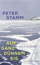 Peter Stamm - Auf ganz d&uuml;nnem Eis