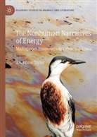 Josephine Taylor - The Nonhuman Narratives of Energy
