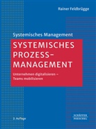 Rainer Feldbr&uuml;gge - Systemisches Prozessmanagement