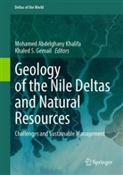 Mohamed Abdelghany Khalifa, Mohamed Abdelghany Khalifa, Gemail, Khaled Gemail, Khaled S. Gemail, Mohamed Khalifa... - Geology of the Nile Deltas and Natural Resources