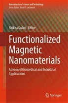 Shikha Gulati - Functionalized Magnetic Nanomaterials