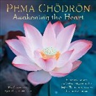 Amber Lotus Publishing, Pema Chodron, Pema Ch&ouml;dr&ouml;n - Pema Choedroen 2026