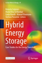 Linda Barelli, Linda Barelli et al, Manuel Baumann, Maria Elisa Gil Bardaj&iacute;, Maria Elisa Gil Bardaj&iacute;, Stefano Passerini... - Hybrid Energy Storage