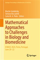 Stefano Boccaletti, Martin Golubitsky, Carla M A Pinto, Carla M.A. Pinto, Carla M.A. Pinto - Mathematical Approaches to Challenges in Biology and Biomedicine