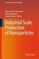 Nadeesh M. Adassooriya, Azamal Husen, Aruna Manipura - Industrial Scale Production of Nanoparticles