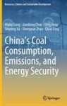 Jiandong Chen, Ying Feng, Malin Song, Qiuxi Xing, Shiyang Xu, Shengxue Zhao - China's Coal Consumption, Emissions, and Energy Security