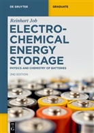 Reinhart Job - Electrochemical Energy Storage