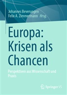 Johannes Beverungen, Zimmermann, Felix Zimmermann - Europa: Krisen als Chancen