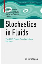 Tom&aacute;s Bodn&aacute;r, Tom&aacute;&scaron; Bodn&aacute;r, Giovanni P. Galdi, S&aacute;rka Necasov&aacute;, &Scaron;&aacute;rka Nečasov&aacute;, Giovanni P Galdi - Stochastics in Fluids
