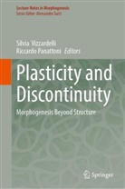 Panattoni, Riccardo Panattoni, Silvia Vizzardelli - Plasticity and Discontinuity