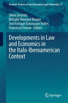 Enrique Sotomayor Trelles, Francesco Ferraro, Betzab&eacute; Marciani Burgos, Jos&eacute; Enrique Sotomayor Trelles, Silvia Zorzetto - Developments in Law and Economics in the Italo-Iberoamerican Context