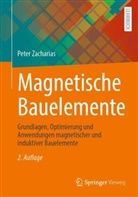Peter Zacharias - Magnetische Bauelemente