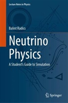 Balint Radics - Neutrino Physics