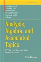 Bharat Bhushan, Erhan G&uuml;ler, Erhan G&uuml;ler et al, Sandeep Kaur, Sandeep Malik, Sandeep Singh - Analysis, Algebra, and Associated Topics