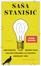 Sasa Stanisic, Sa&scaron;a Stani&scaron;ić - Mein Ungl&uuml;ck beginnt damit, dass der Stromkreis als Rechteck abgebildet wird