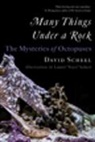 David Scheel, Laurel "Yoyo" Scheel, Laurel Yoyo Scheel - Many Things Under a Rock