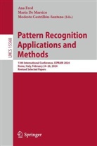 Modesto Castrill&oacute;n-Santana, Modesto Castrill&oacute;n-Santana, De Marsico, Maria De Marsico, Ana Fred - Pattern Recognition Applications and Methods