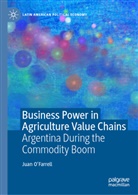 Juan O'Farrell - Business Power in Agriculture Value Chains