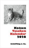 Julia Bachstein, Julia Bachstein - Katzen Taschenkalender 2026