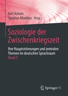 Karl Acham, Moebius, Stephan Moebius - Soziologie der Zwischenkriegszeit. Ihre Hauptstr&ouml;mungen und zentralen Themen im deutschen Sprachraum