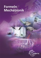 Gregor H&auml;berle, Konstantin H&auml;berle, Verena H&auml;berle, Verena u H&auml;berle, Bernd Schiemann, Claudius Scholer... - Formeln Mechatronik