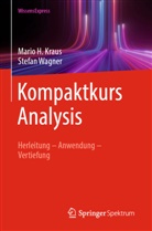 Mario H Kraus, Mario H. Kraus, Stefan Wagner - Kompaktkurs Analysis