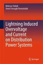 Amin Foroughi Nematolahi, Behrooz Vahidi - Lightning Induced Overvoltage and Current on Distribution Power Systems