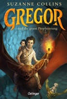 Suzanne Collins, J&eacute;r&eacute;mie Fleury, J&eacute;r&eacute;mie Fleury - Gregor 1. Gregor und die graue Prophezeiung