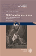Gregory Dikaios - Plato's waking state  pi