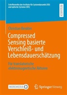 Christian Benkler - Compressed Sensing basierte Verschlei&szlig;- und Lebensdauersch&auml;tzung
